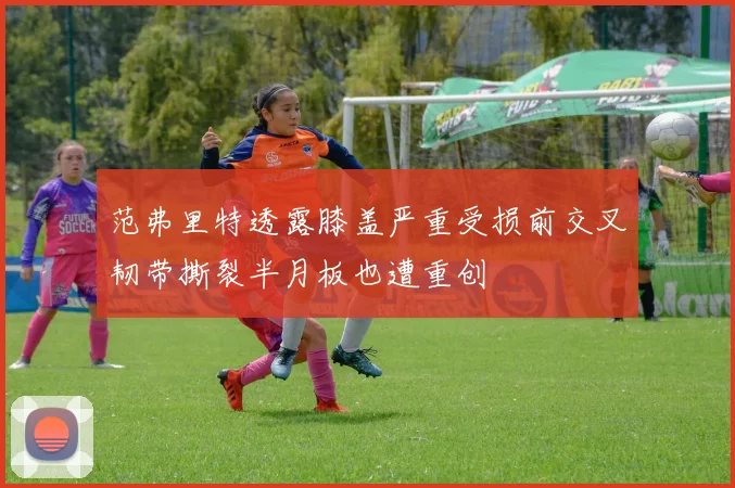 范弗里特透露膝盖严重受损前交叉韧带撕裂半月板也遭重创