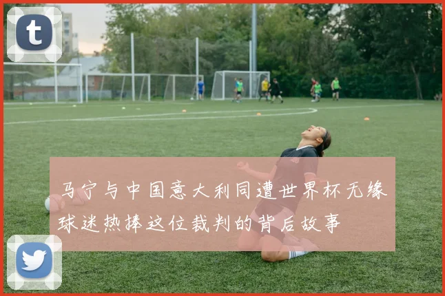 马宁与中国意大利同遭世界杯无缘球迷热捧这位裁判的背后故事